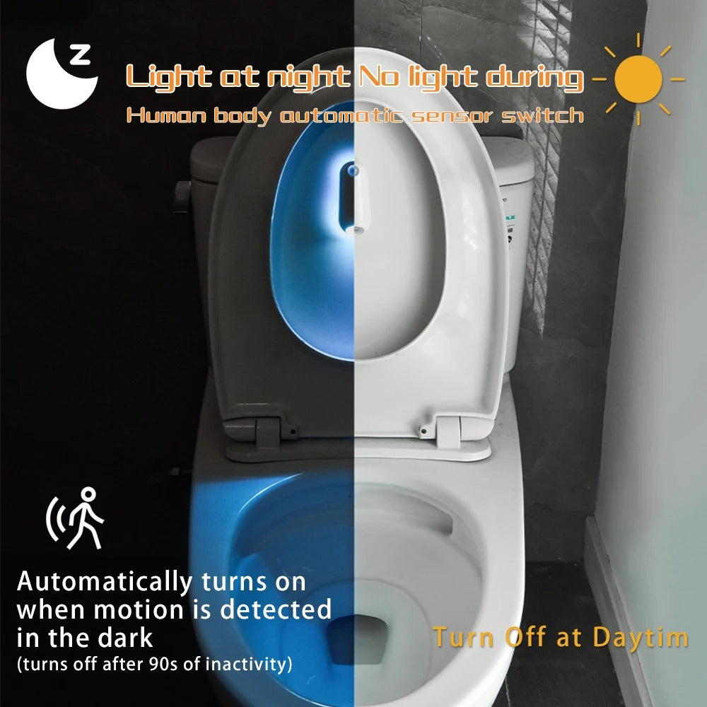 Toilet Night Light - 2 Included